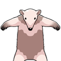 t-pose